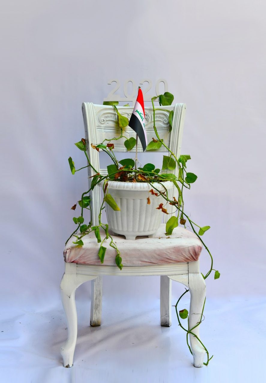 1 of 16, 2020. The first chair painted white. Something is finally allowed to grow.